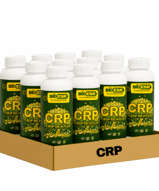 CRP Vigor Growth For Plants